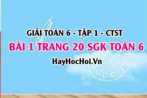 Giải bài 1 trang 20 Toán 6 Tập 1 SGK Chân trời sáng tạo